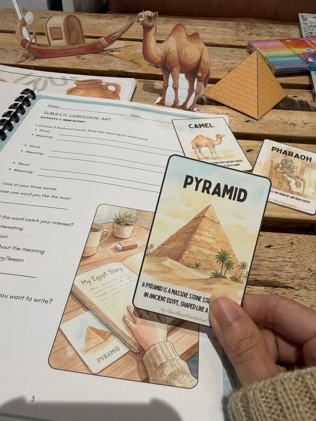 STEM Unit Study
