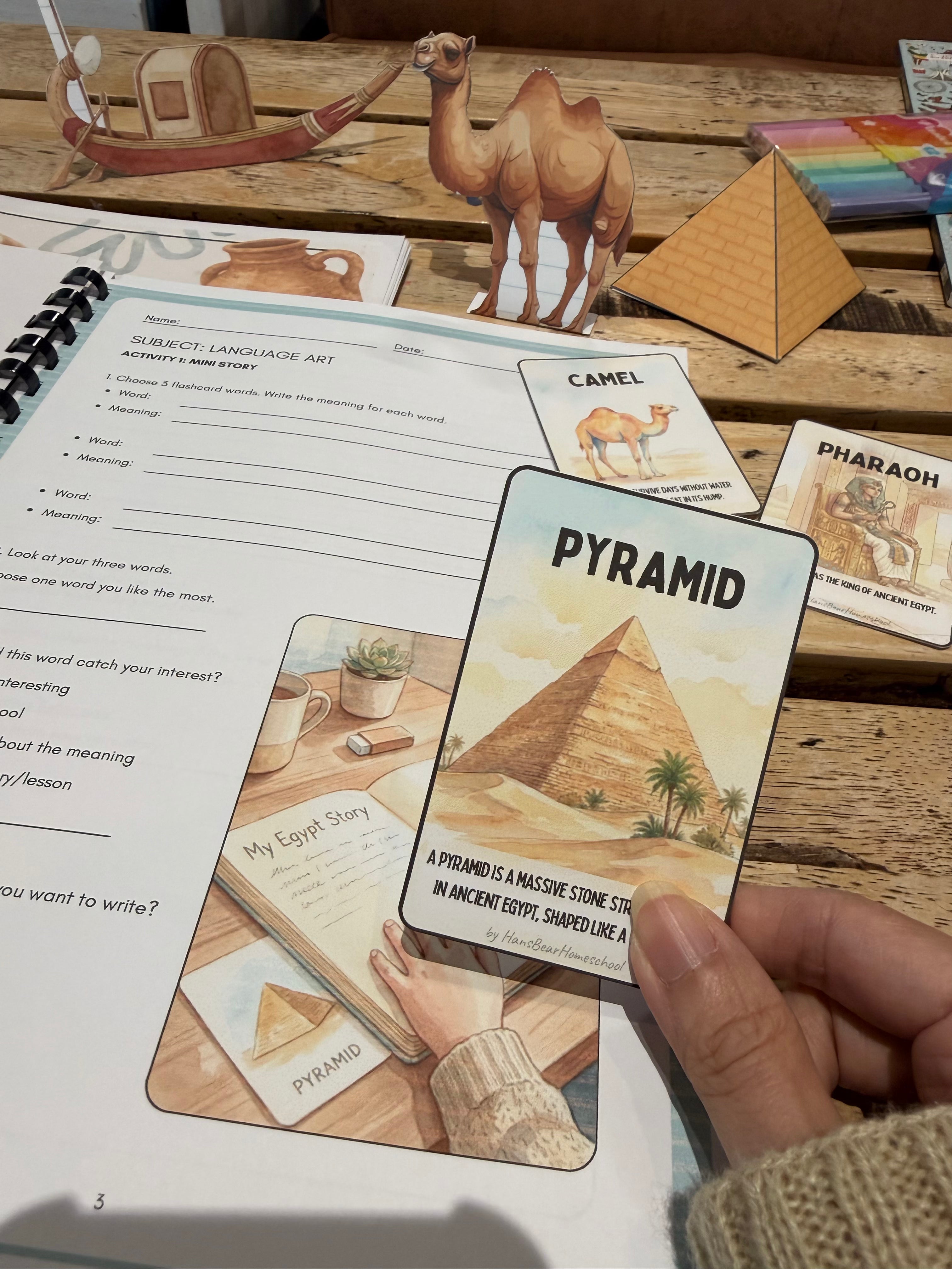 STEM Unit Study