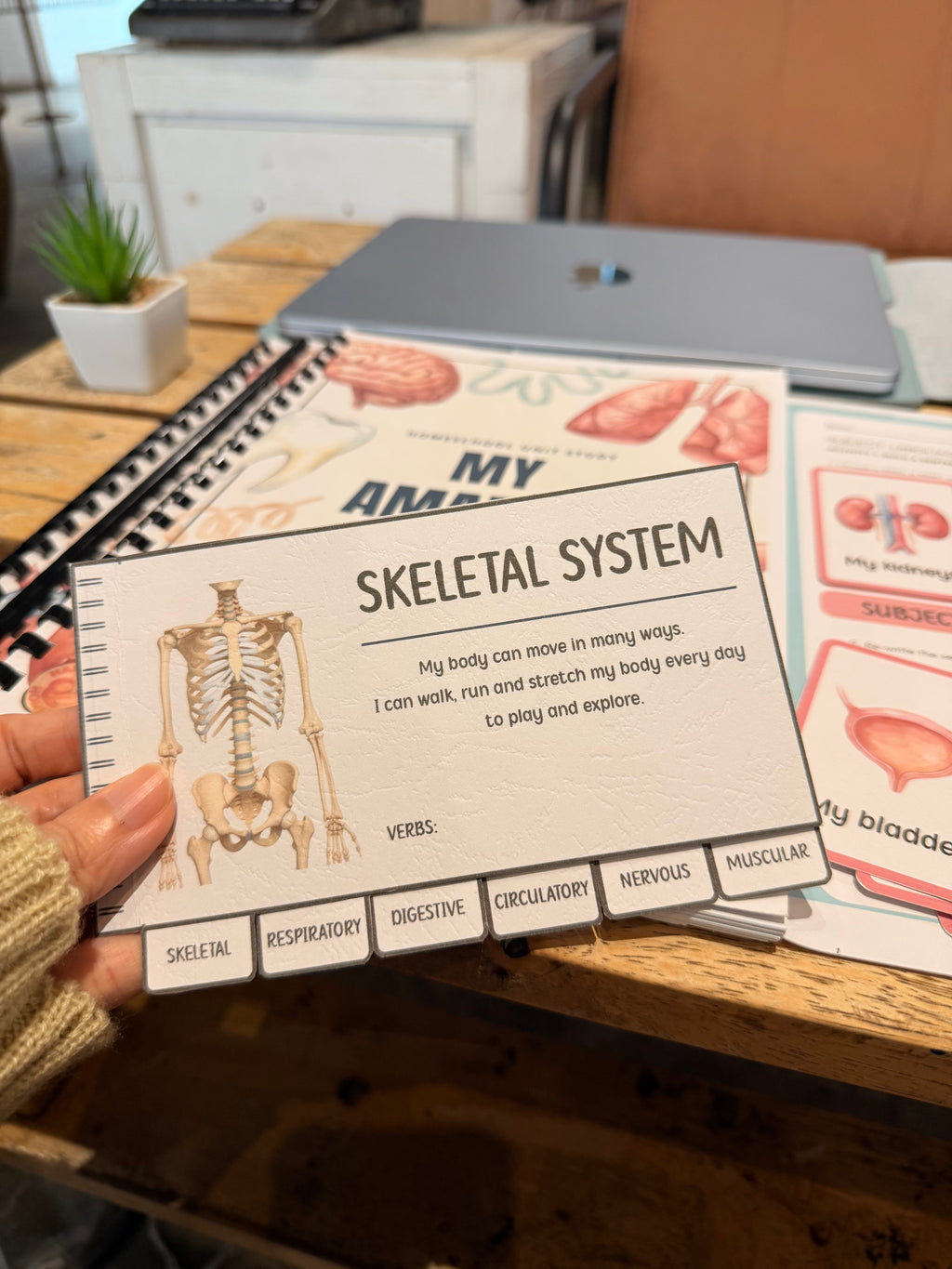 STEM Unit Study